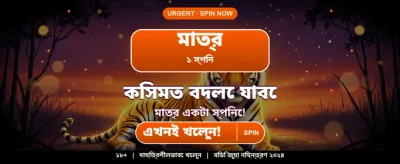 বিস্ময়কর বোনাস আপনার জন্য অপেক্ষা করছে